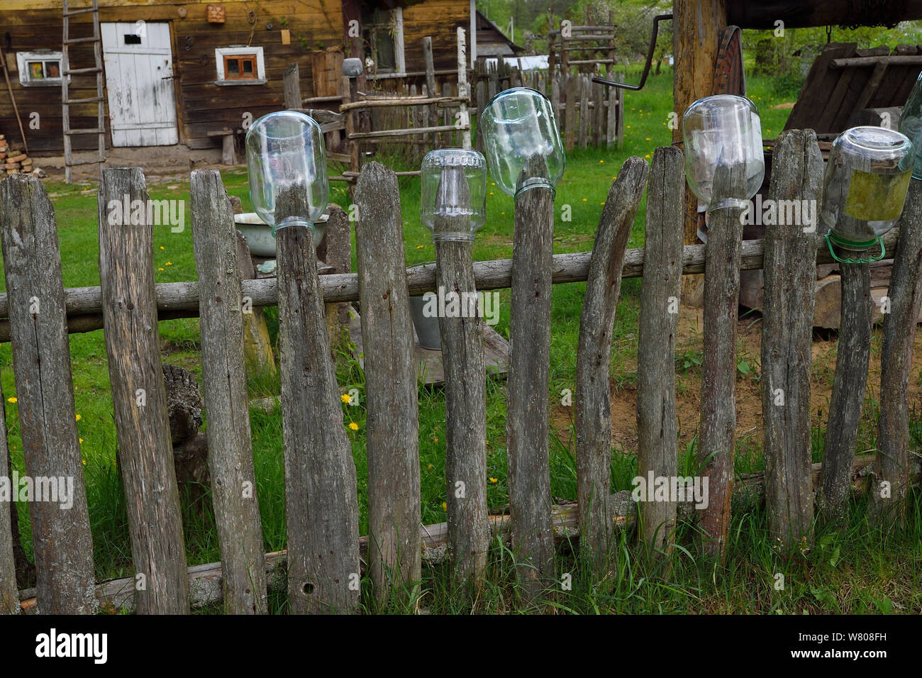Fence post with glass jars on fence outside house, Musteika Village, Lithuania, May 2015. Stock Photo