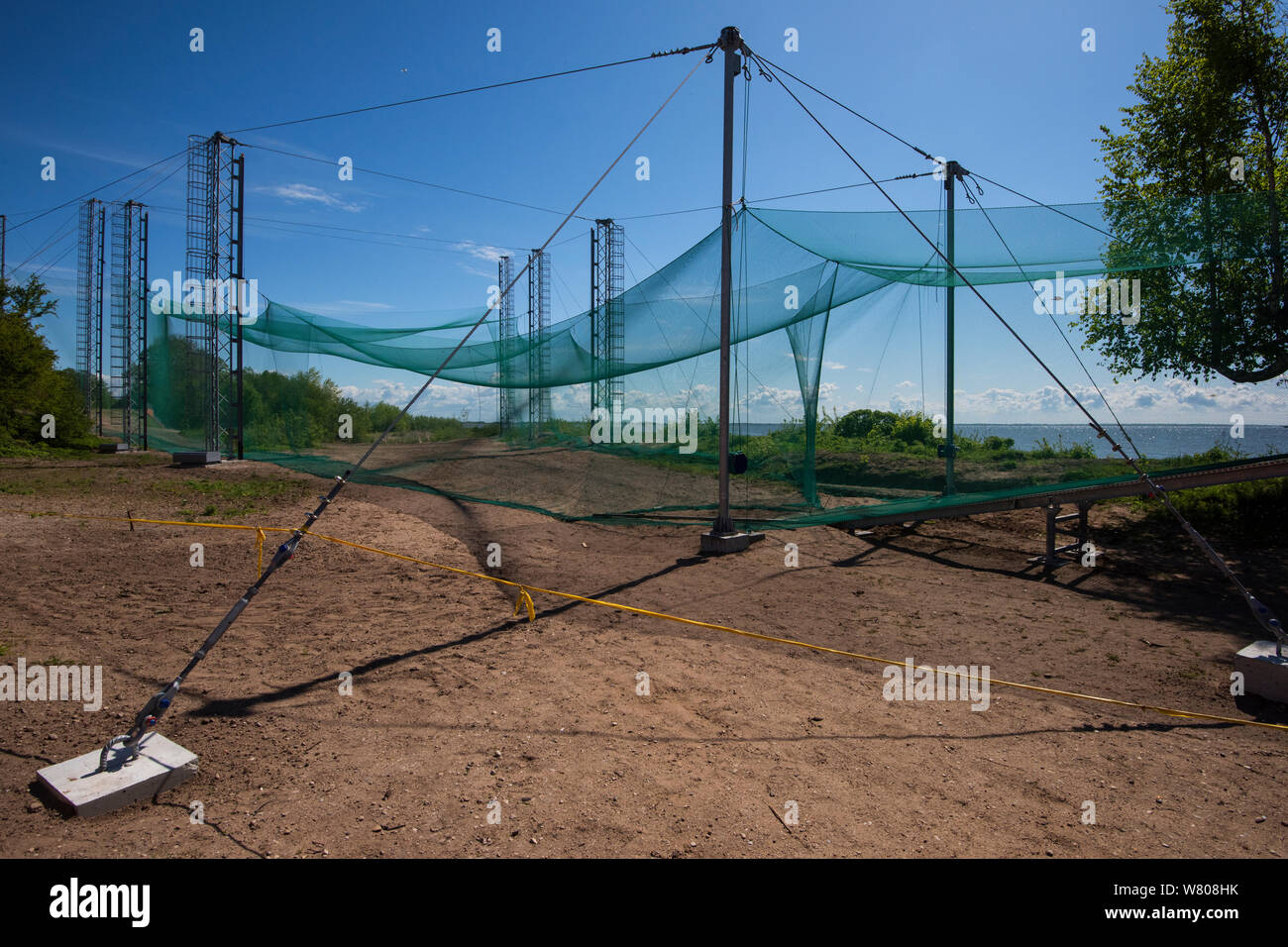 Heligoland bird trap, at the Ventes Ragas bird ringing station, one of the most modern in the world, Nemunas River Delta, Lithuania, May 2015. Stock Photo