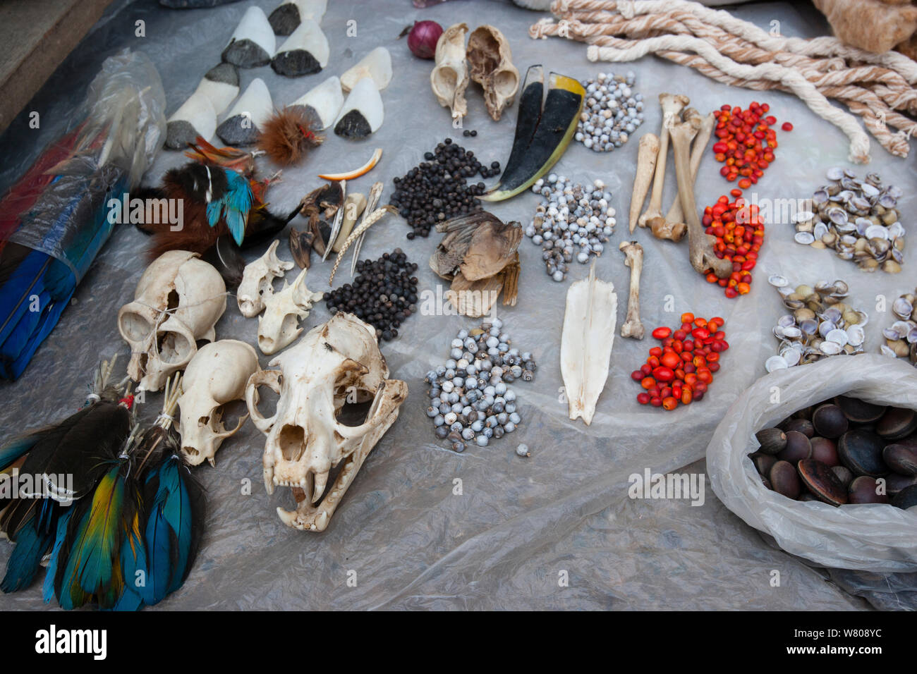 Traditional talismans, and medicines, for sale in Yurimaguas market, Amazon, Peru. November 2006. Stock Photo