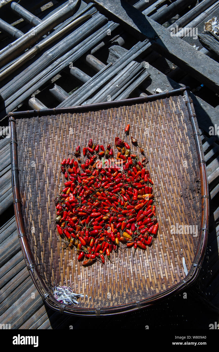 Chilli peppers for sale in market, Upper Subansiri District, Arunachal Pradesh, North East India, November 2014. Stock Photo