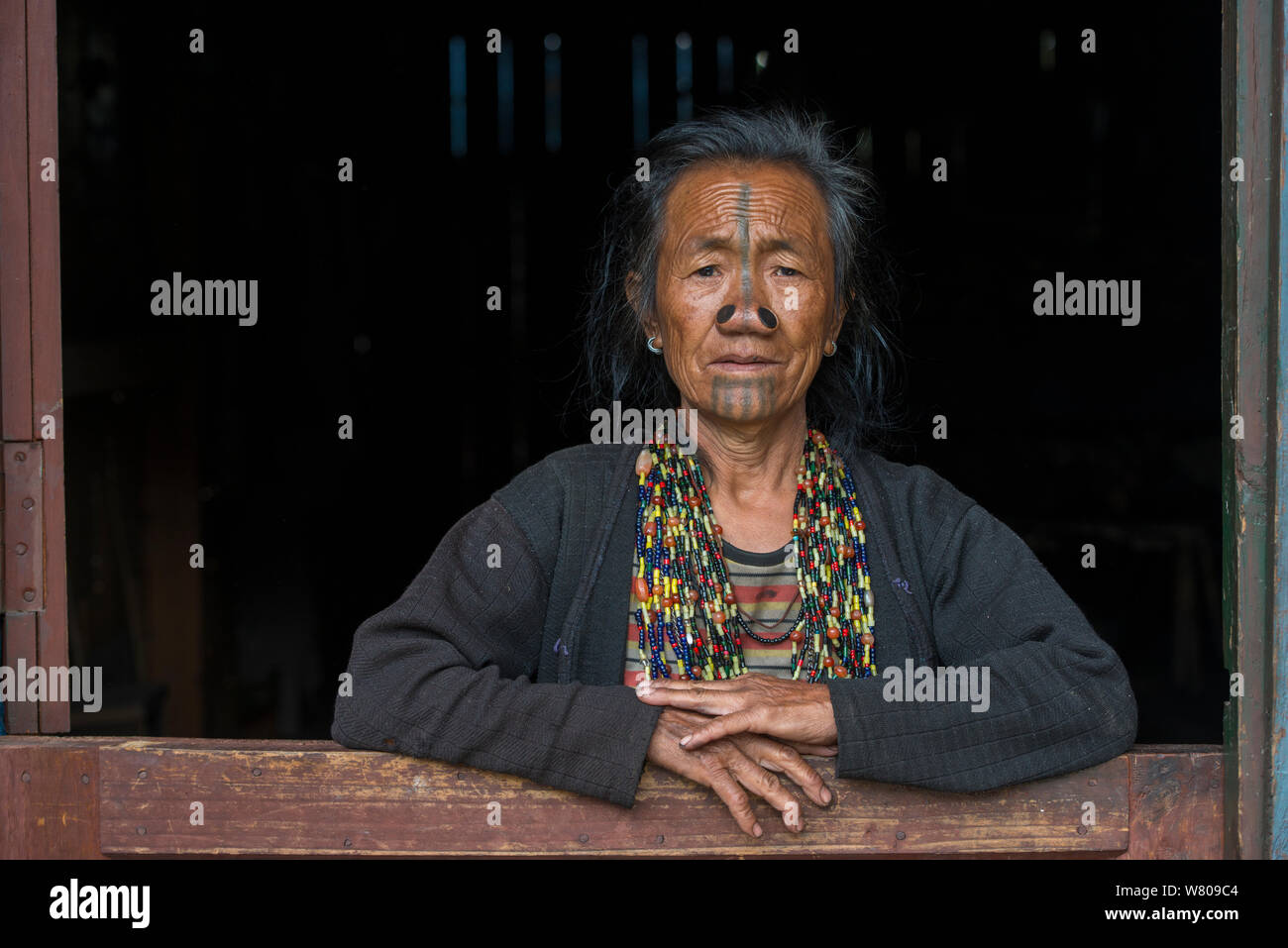 Apatani woman with facial tattoos and traditional cane nose plugs / Yapin Hulo made to make them look unattractive to males from other tribes. These facial modifications are  now  outlawed. Apatani Tribe, Ziro Valley, Himalayan Foothills, Arunachal Pradesh.North East India, November 2014. Stock Photo