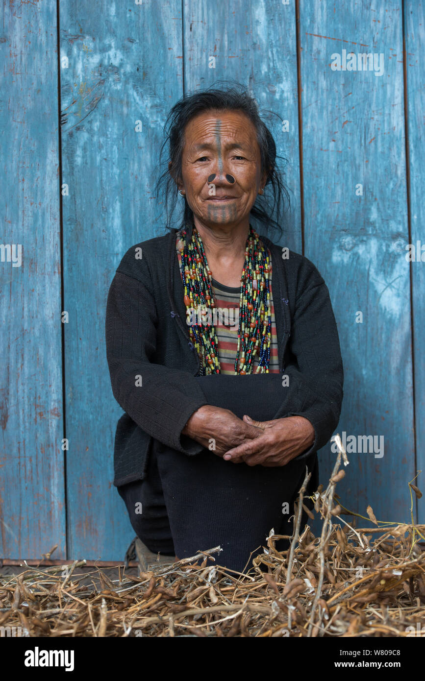 Apatani woman with facial tattoos and traditional cane nose plugs / Yapin Hulo made to make them look unattractive to males from other tribes. These facial modifications are  now  outlawed. Apatani Tribe, Ziro Valley, Himalayan Foothills, Arunachal Pradesh.North East India, November 2014. Stock Photo