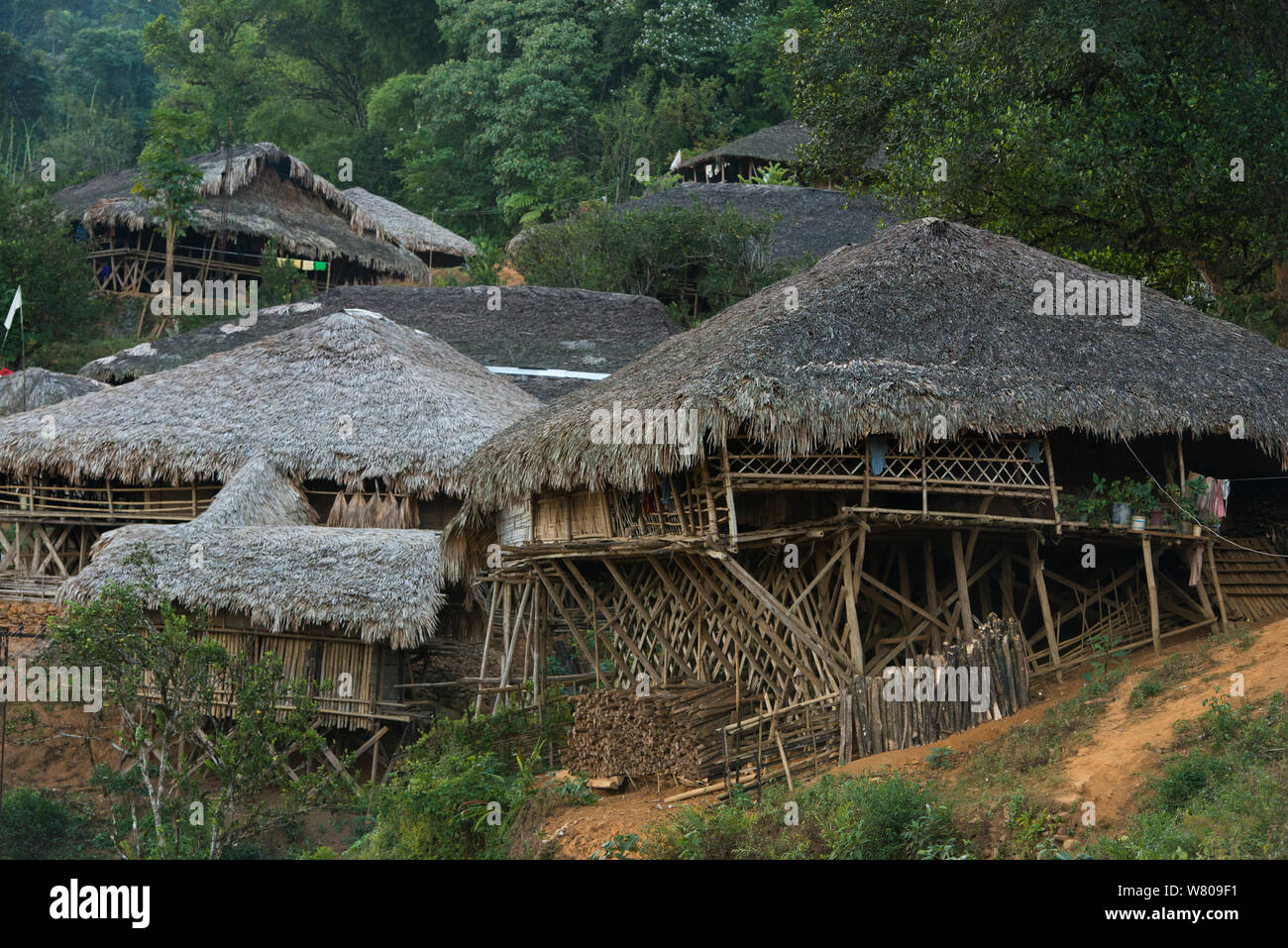 Adi Gallong pole houses, Jamlouvari Village, Adi Gallong Tribe, Arunachal Pradesh, North East India, November 2014. Stock Photo