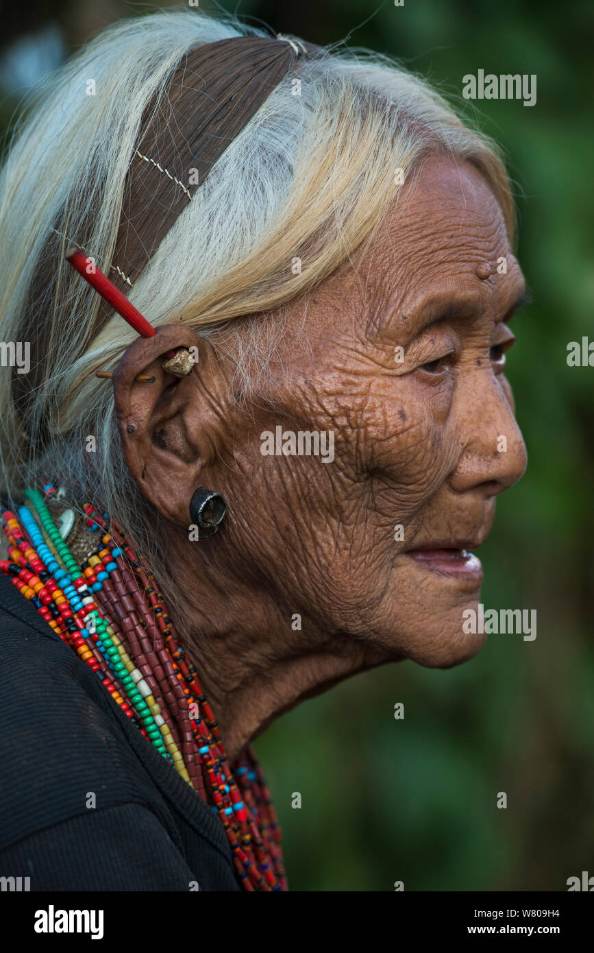 Elderly Konyak Naga woman with traditional jewelry. Mon district. Nagaland,  North East India, October 2014. Stock Photo