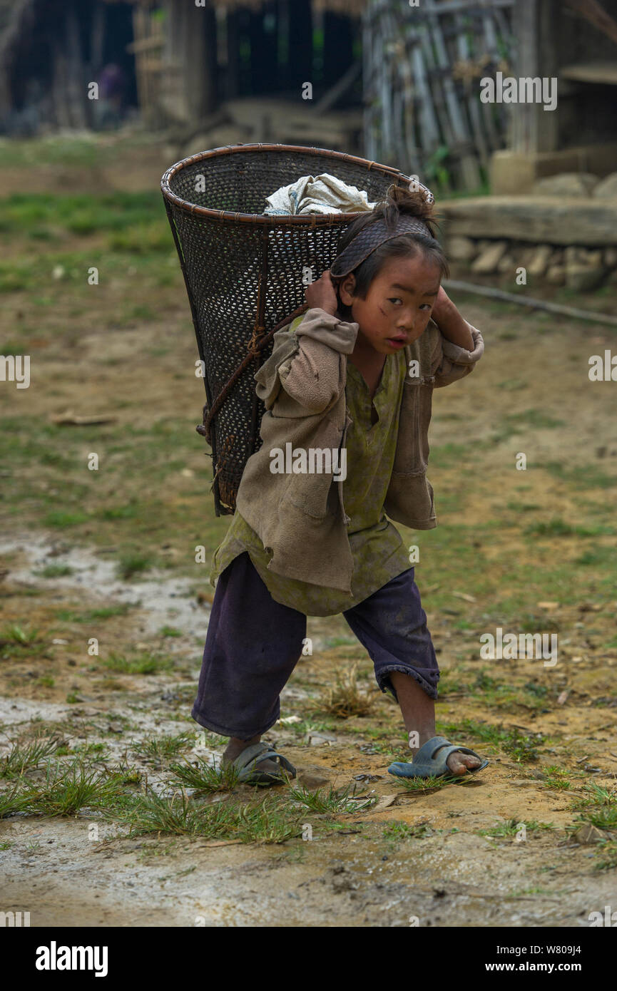 Konyak Naga  girl carrying rice basket on her back, Mon district, Nagaland, North East India, October 2014. Stock Photo