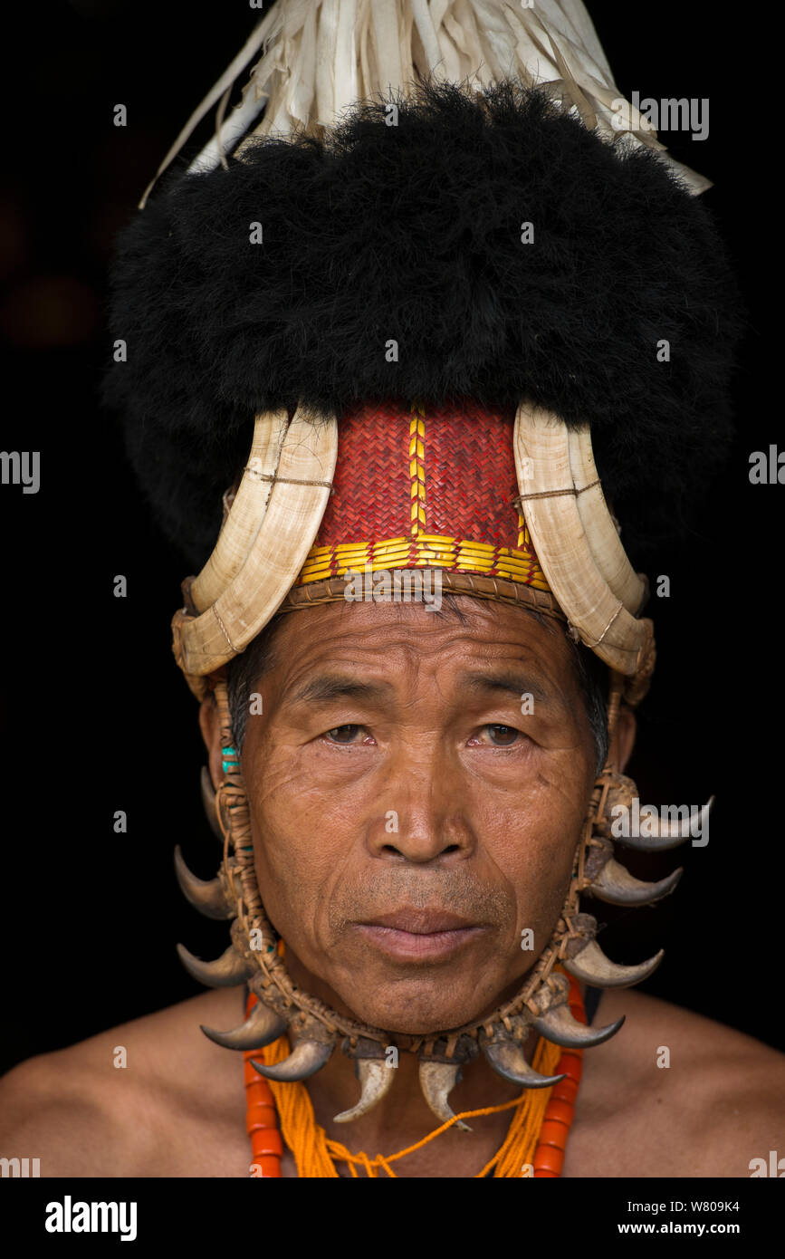 Chang Naga man in festival dress with tiger claws (Panthera tigris) around his face, Hornbill (Bucerotidae) feathers on hat, and Wild boar (Sus scrofa) tusks on headdress, Tuensang district. Nagaland, North East India, October 2014. Stock Photo