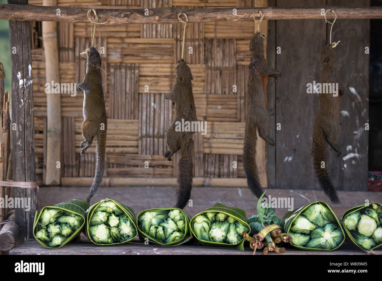 Squirrels for sale at local market. Nagaland, North East India, October 2014. Stock Photo