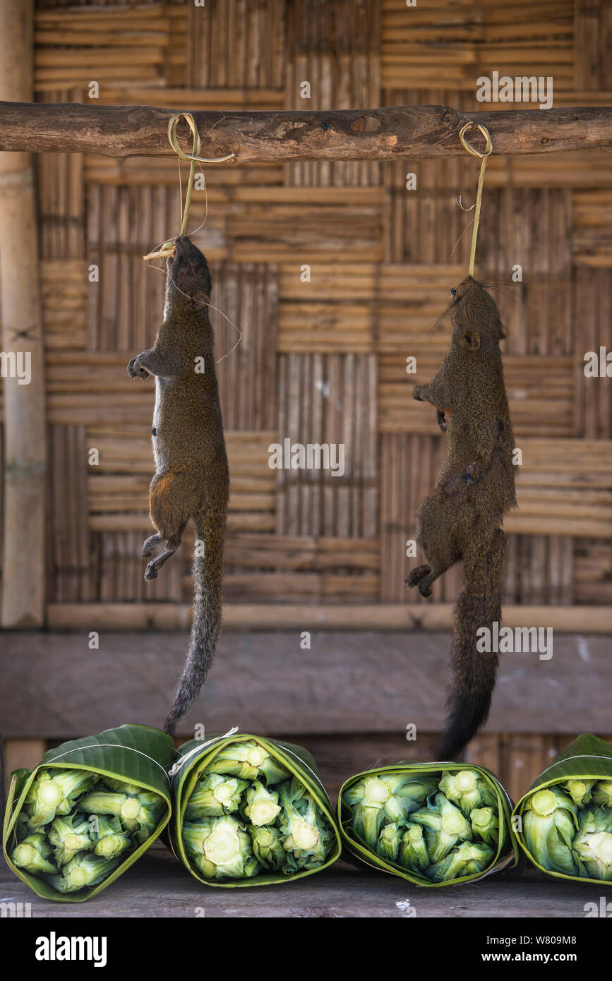 Squirrels for sale at local market. Nagaland, North East India, October 2014. Stock Photo