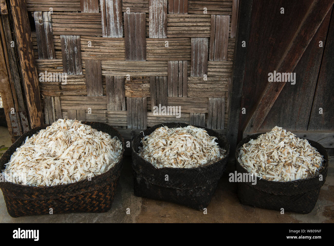 Tapioca stoed in baskets, Naga Tribel house, Nagaland, North East India, October 2014. Stock Photo