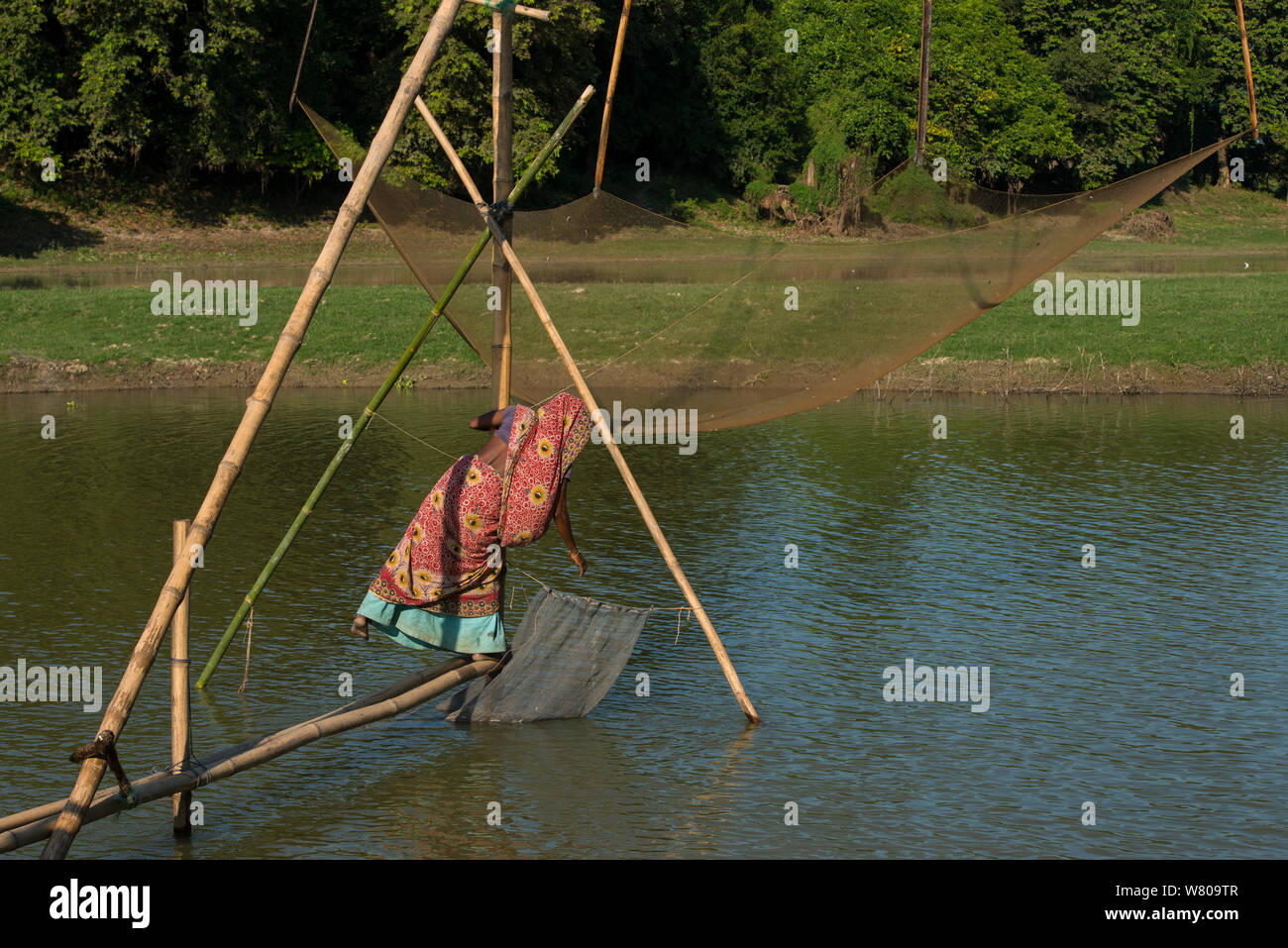 Woman examining Cantilever fishing nets, Assam. North East India. October 2014. Stock Photo
