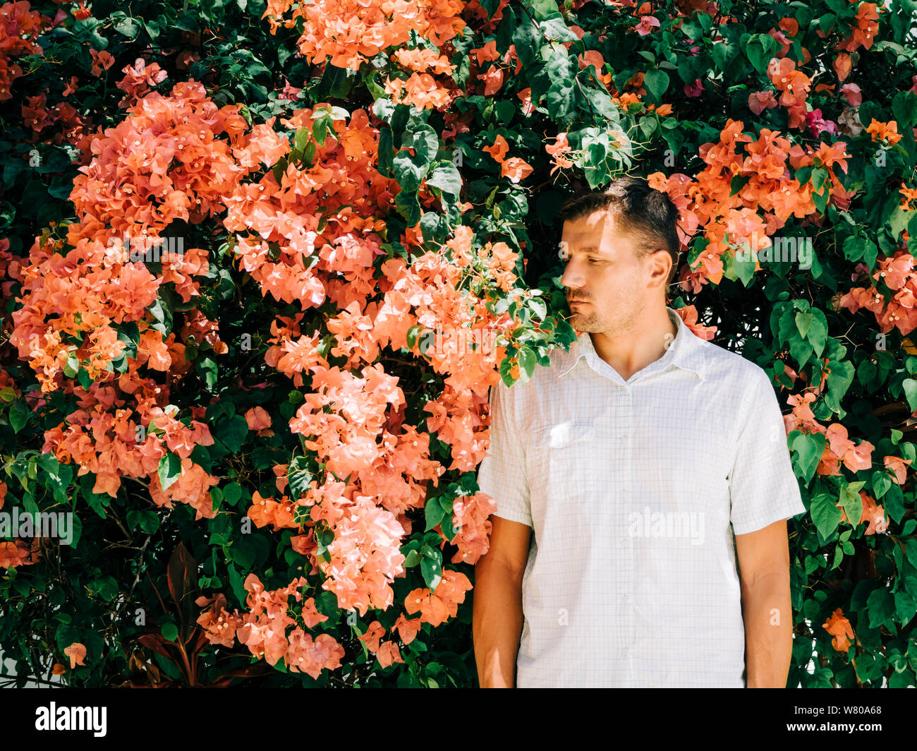 Portrait of an adult man wearing a white shirt on vacation on a tropical island on the background of a garden with pink flowers. Toned image. Stock Photo