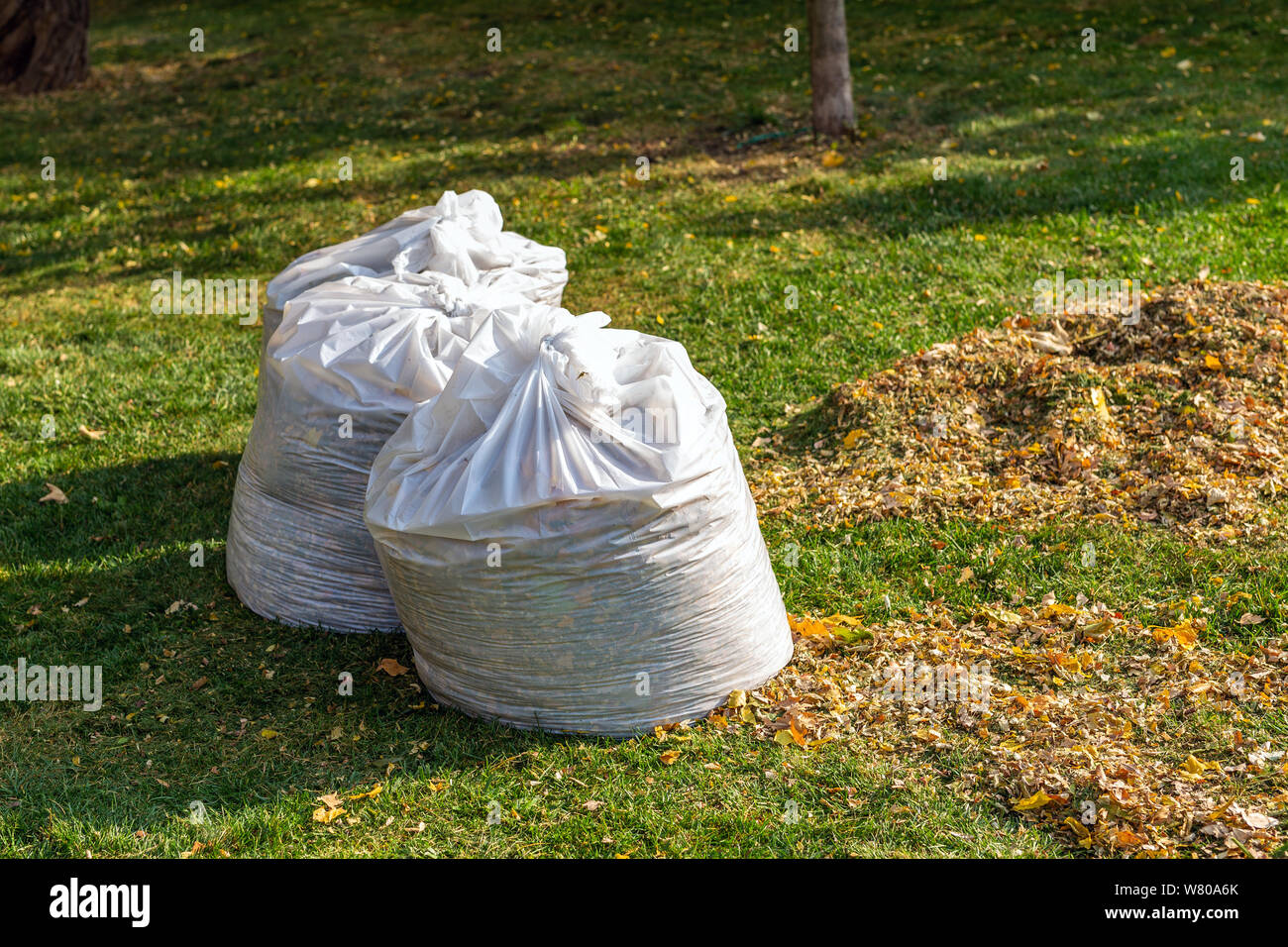 Yard Waste Bags Three Stock Photo - Download Image Now - Garbage