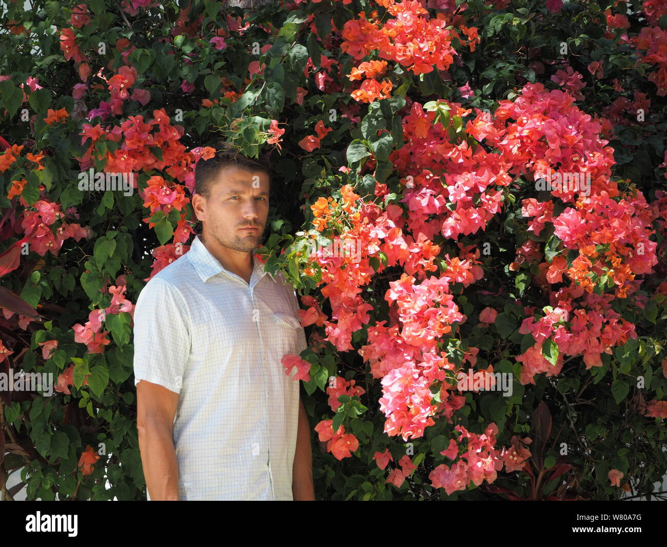 Portrait of an adult man wearing a white shirt on vacation on a tropical island on the background of a garden with pink flowers. Stock Photo