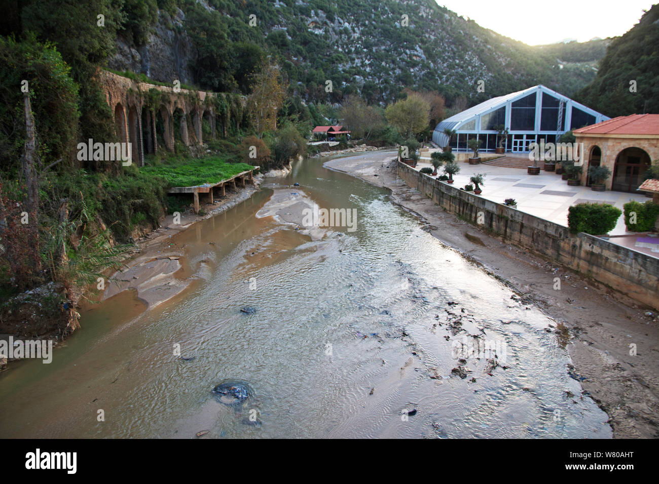 Dog river lebanon hires stock photography and images Alamy