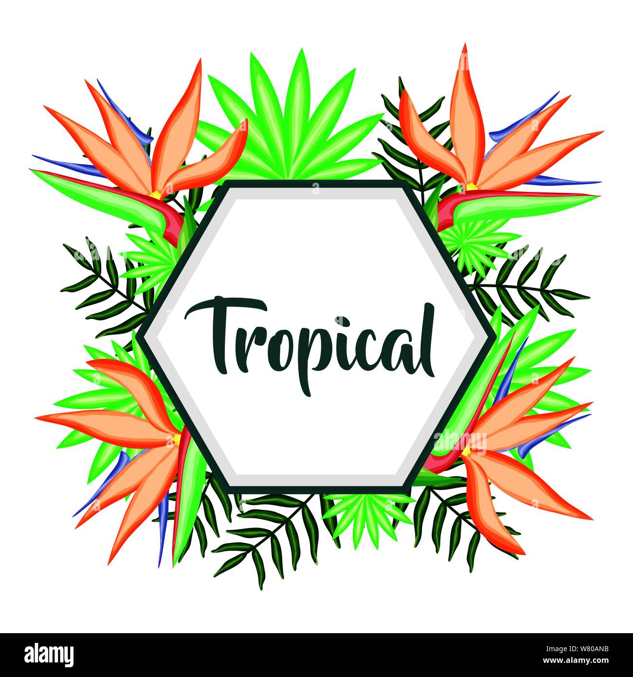 geometric frame with tropical heliconias flowers and leafs vector ...