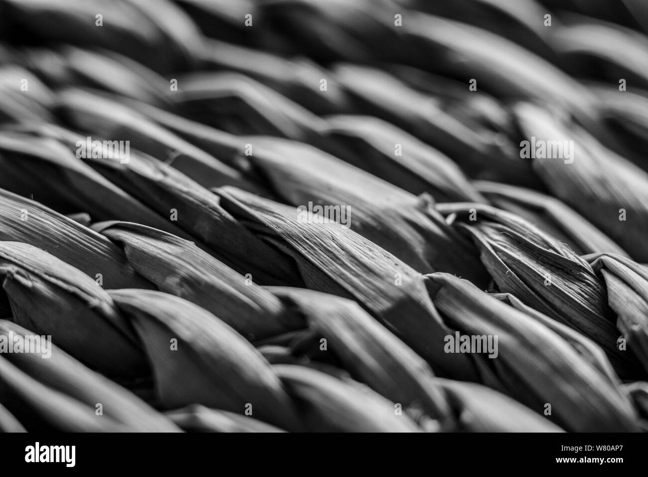 Macro closeup on weave of natural straw table mat round braided - monochrome image Stock Photo