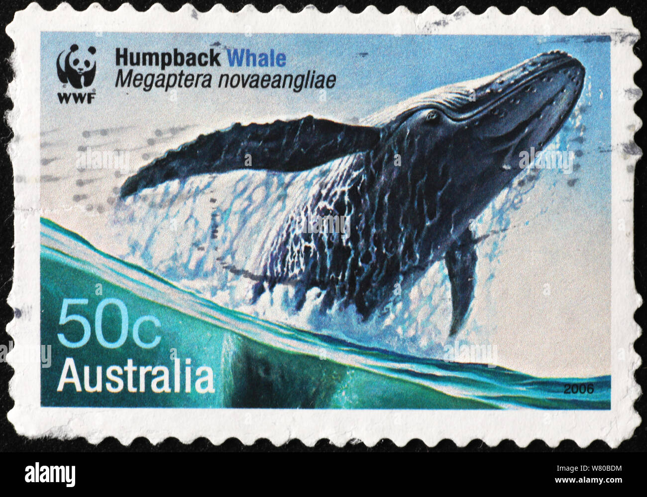 Humpback whale communication hi-res stock photography and images - Alamy