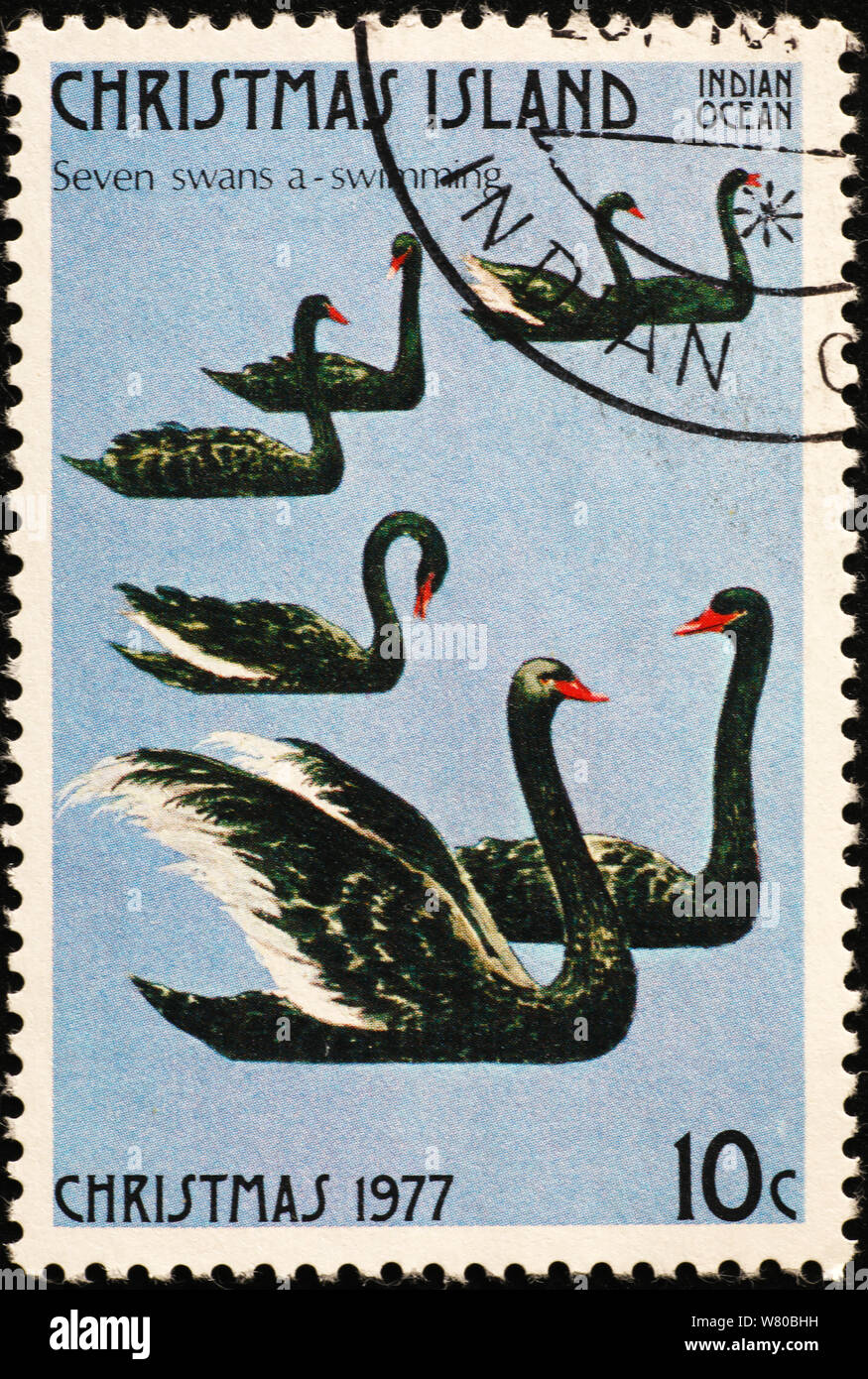 Seven Swans A Swimming High Resolution Stock Photography And Images Alamy