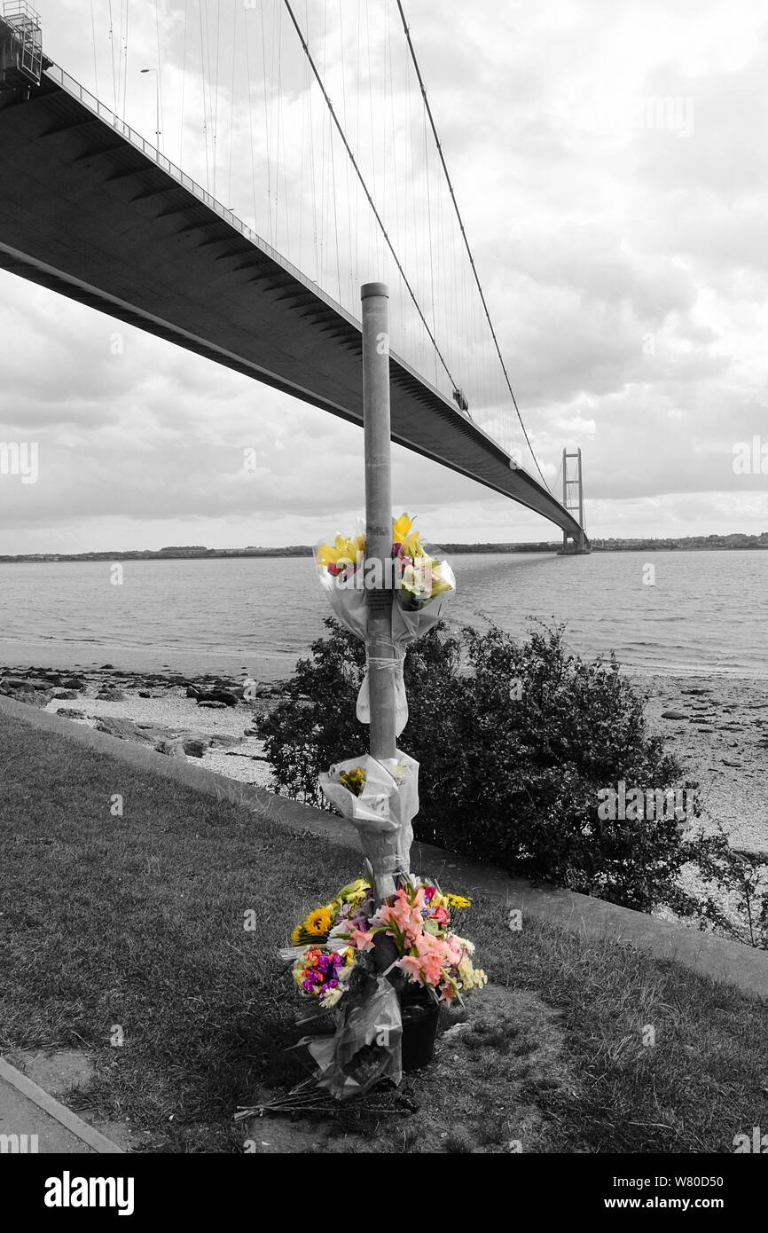 flowers at the Humber Bridge Stock Photo