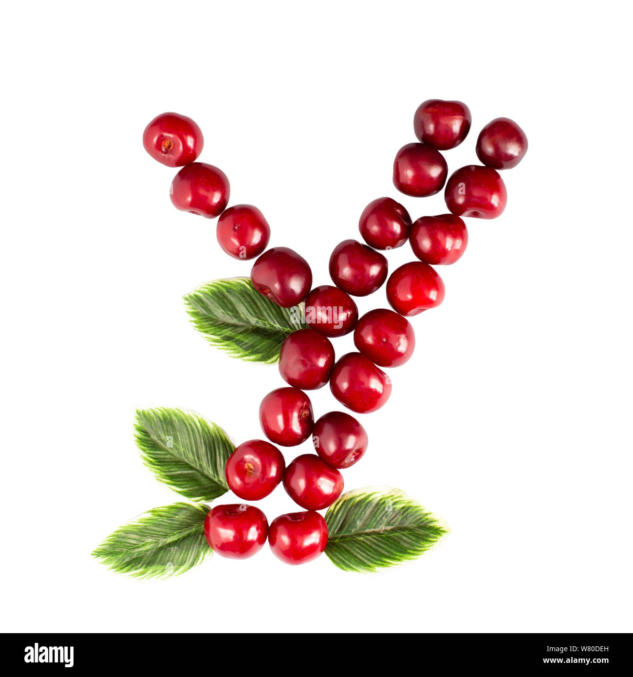 one-english-letter-y-alphabet-of-ripe-cherries-isolate-on-white