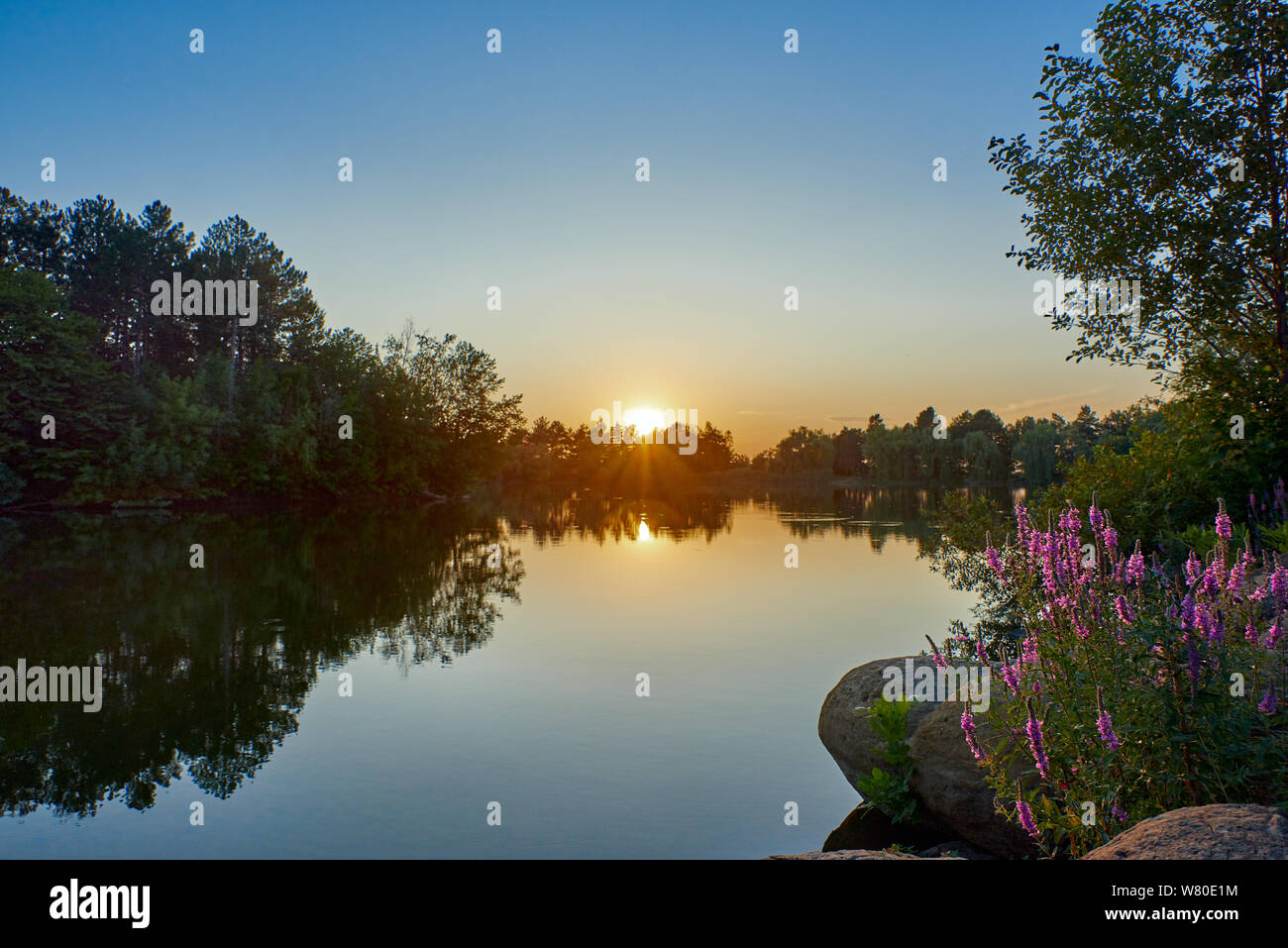 Sunset on a lake with blue water and sky, in the foreground sage and round stones Stock Photo