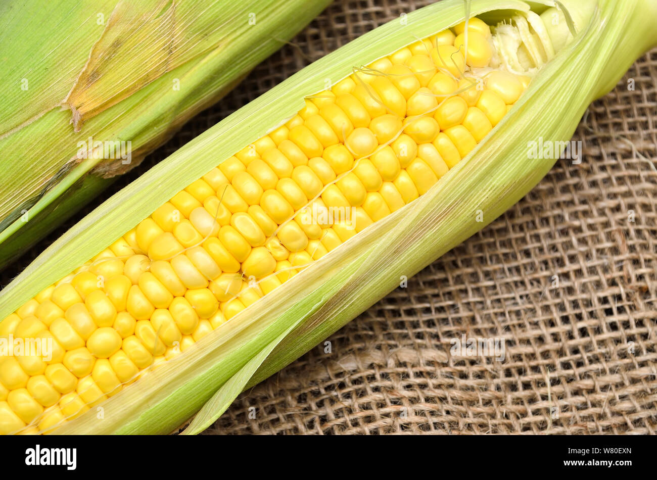 An ear of corn on gunny Stock Photo Alamy