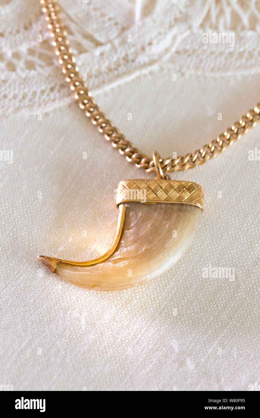 Wagh nakh gold pendant price store
