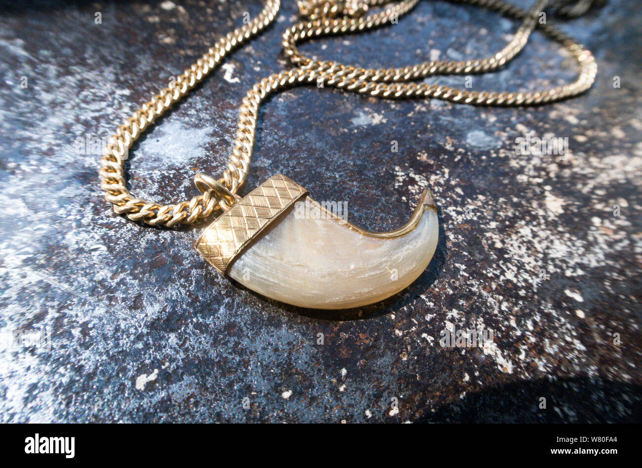 vintage tiger claw on a gold chain necklace W80FA4