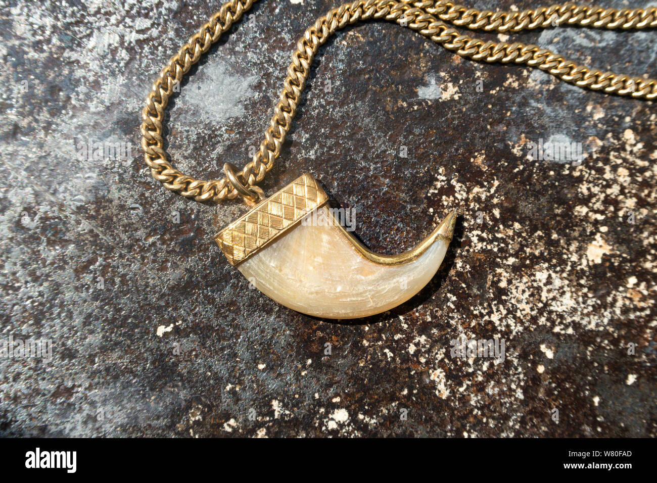 Chain gold necklace hi-res stock photography and images - Alamy