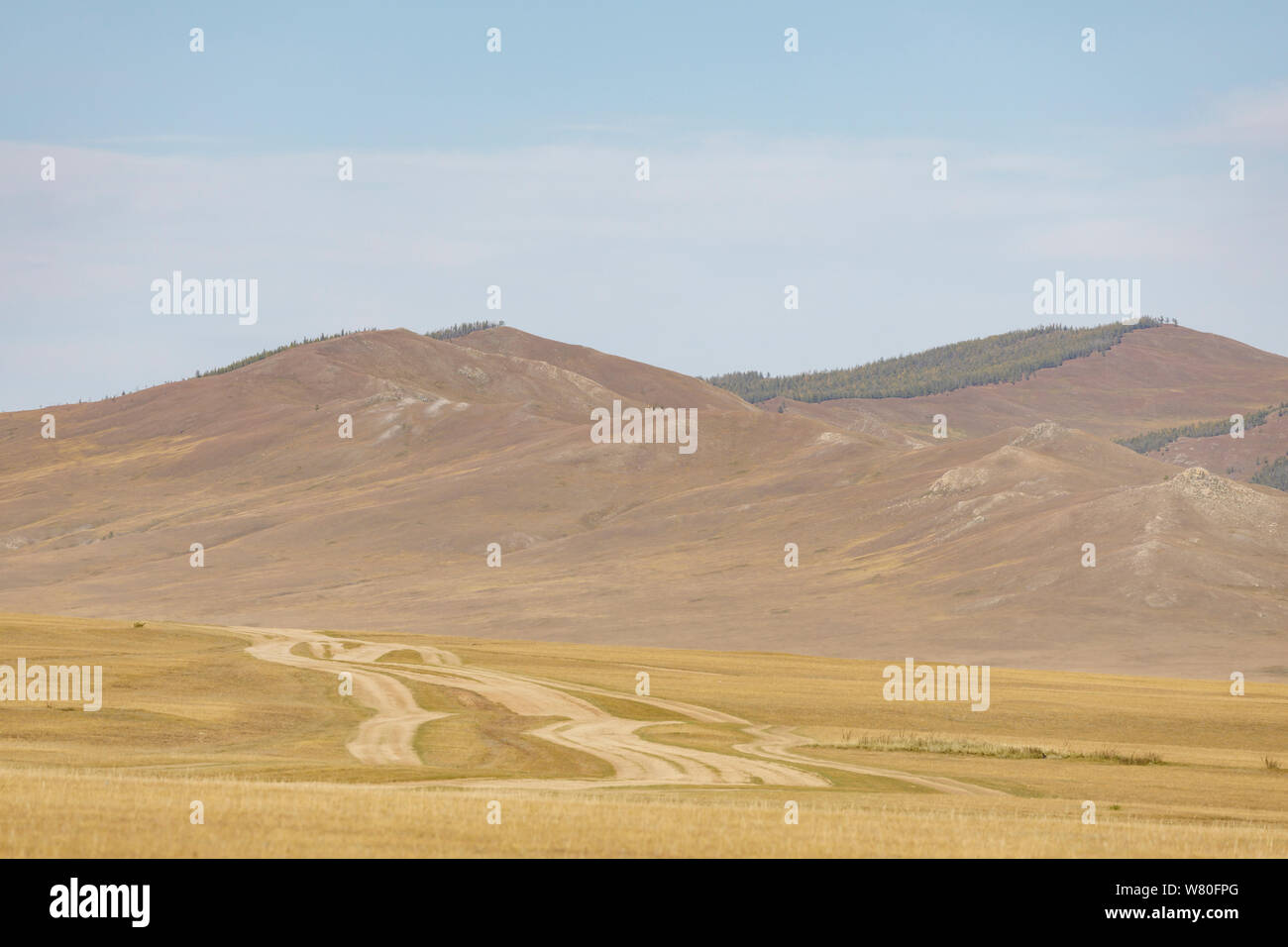 The vast landscapes of Khentii Province in Mongolia. Stock Photo
