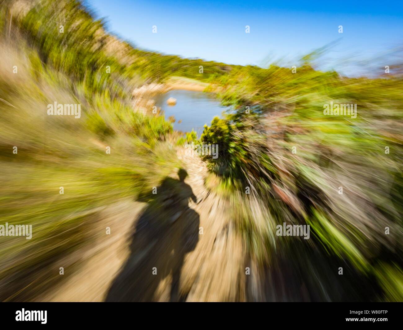 Rough terrain vacated vacant countryside speeding low view along Green tree bushes branches foliage circular twirl motion aka driving motorcycle Stock Photo