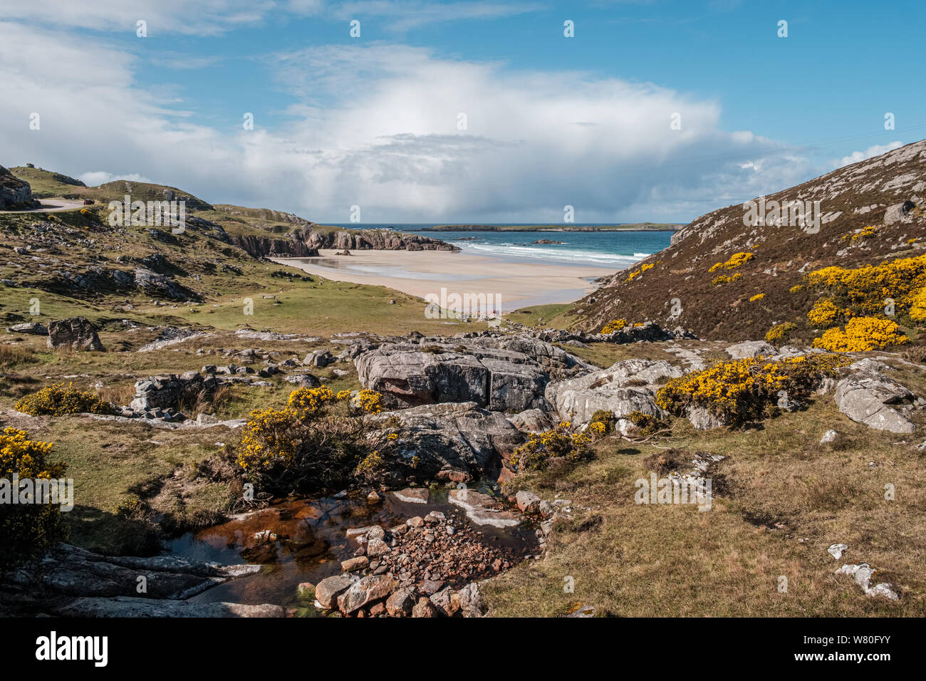 A beautiful deserted sandy Ceannabeine Beach near Rispond in Lairg on the north coast of Scotland with a small stream and colourful yellow gorse in th Stock Photo