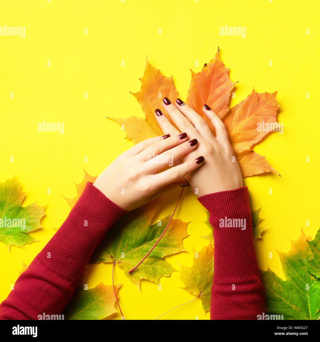 Female hand with autumn leaves over yellow background. Golden autumn ...