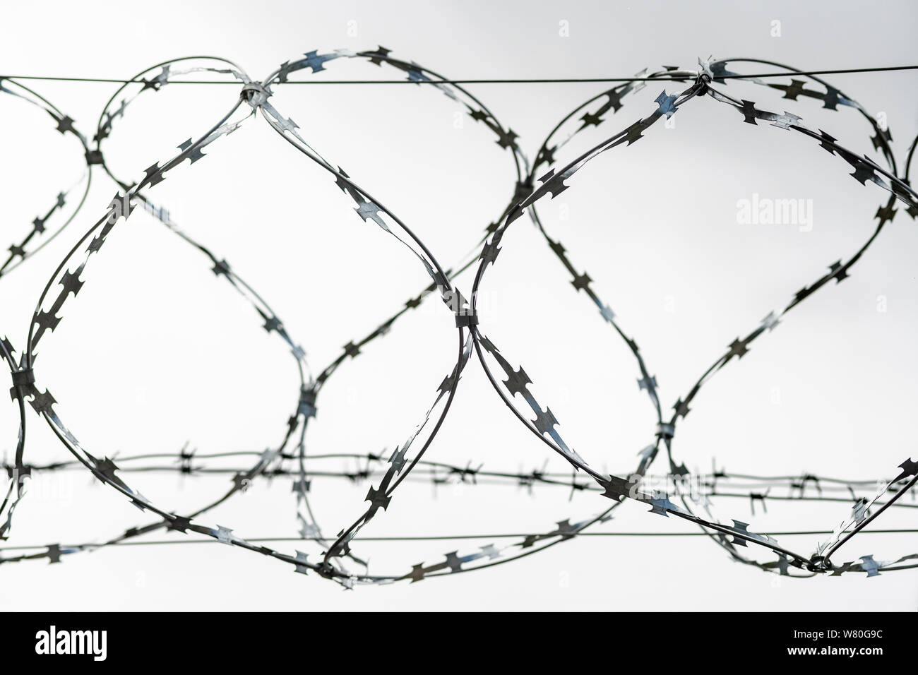 Barbed wire on country border. Barbwire on fence for prohibition of