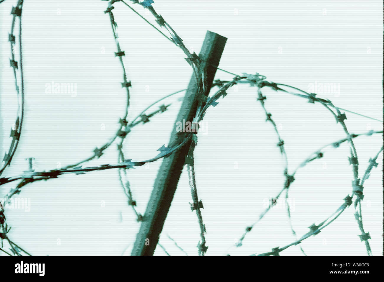 Barbed wire on country border. Barbwire on fence for prohibition of