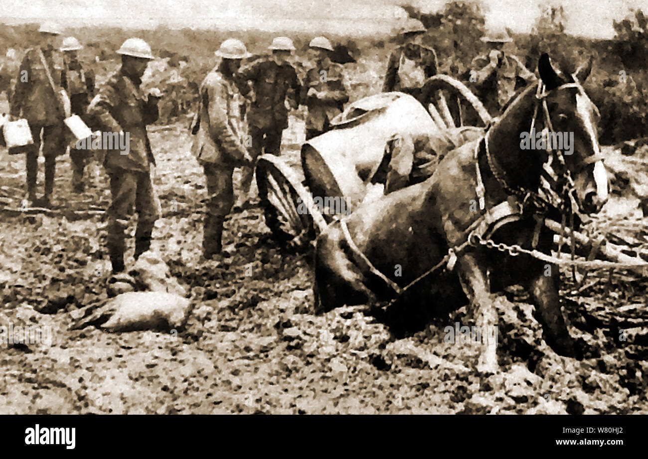 WWI - British soldiers considering what to do with horse and carriage bogged down in mud at the front Stock Photo