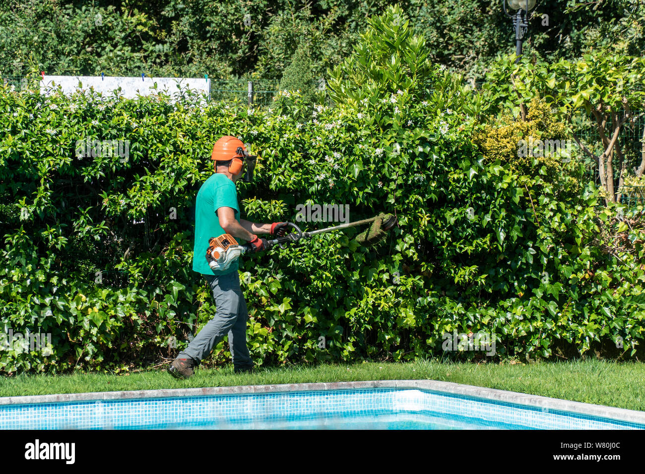 A man equipped with a brush cutter works on front yard with swimming pool. Garden maintenance concept Stock Photo