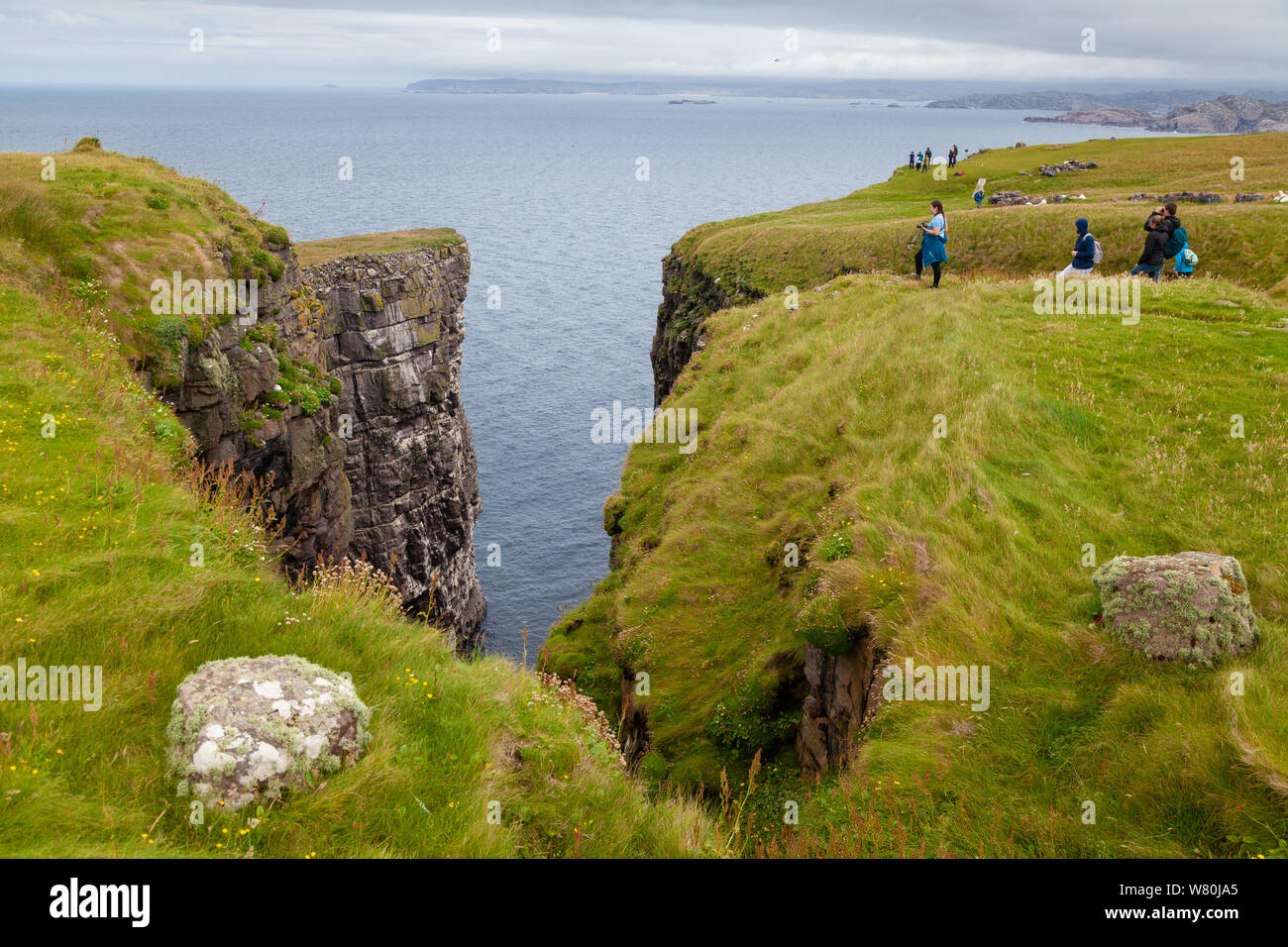 People watching birds on the great sea stack on Handa Island Sutherland, Scotland, UK Stock Photo