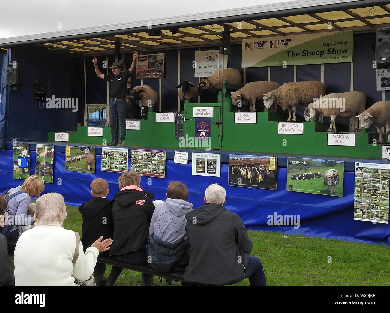 Wigtown horticultural and poultry show 2019- Sheep Show for spectators demonstrating the different features of various breeds of sheep Stock Photo
