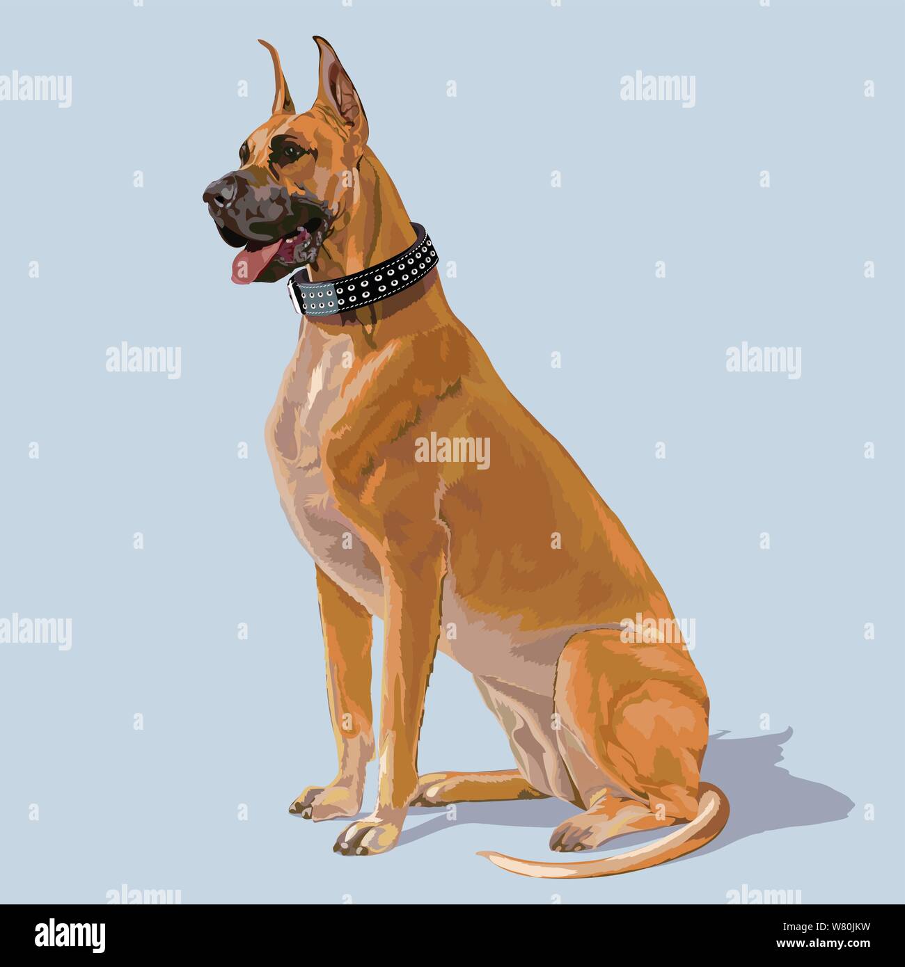 Boxer breed dog sitting and panting wearing a large studded leather collar Stock Vector