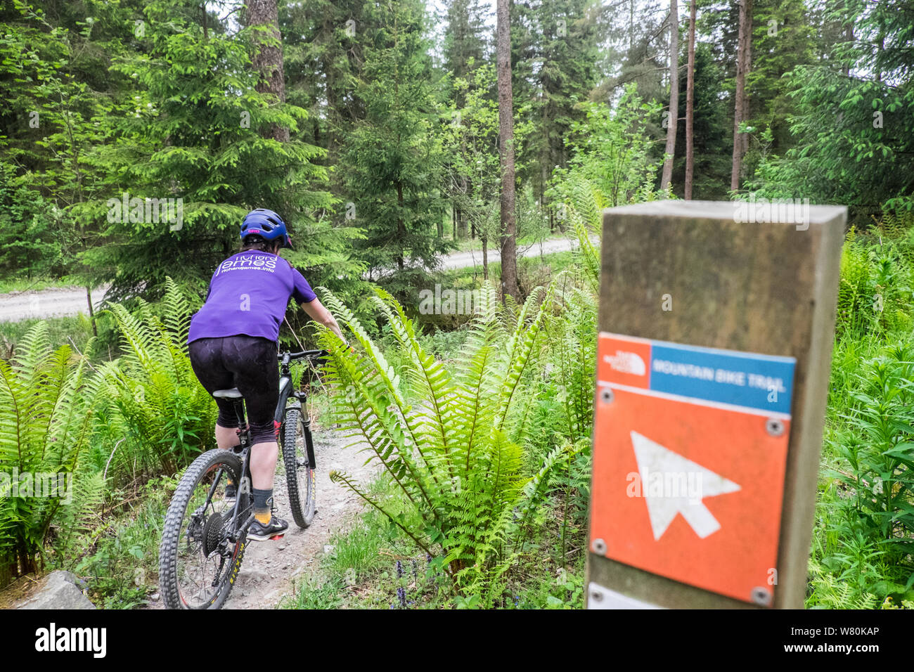 mountain bike trails in the lake district