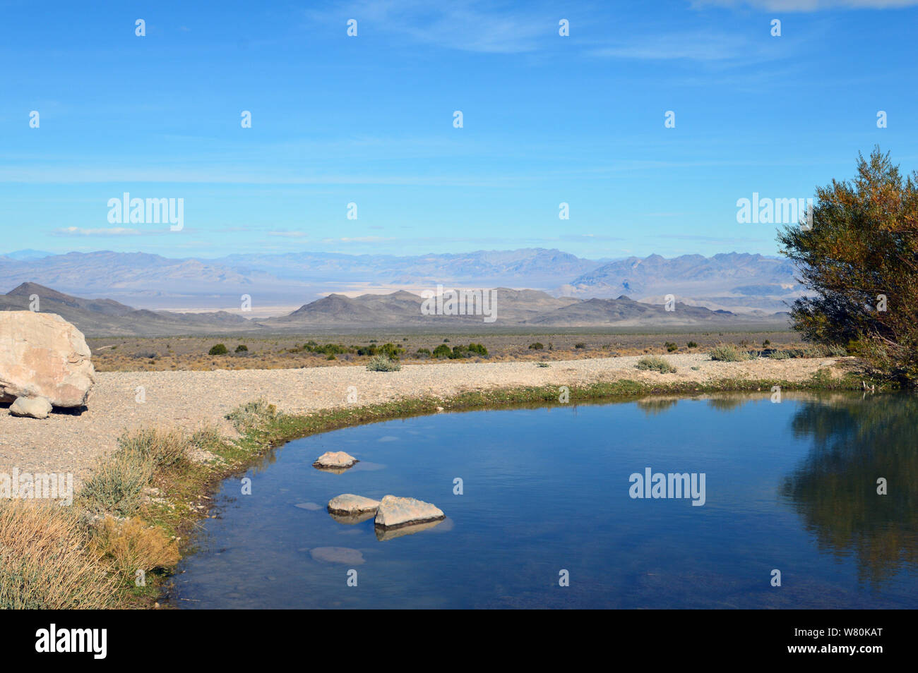 A little lake in Cold Creek Nevada Stock Photo Alamy