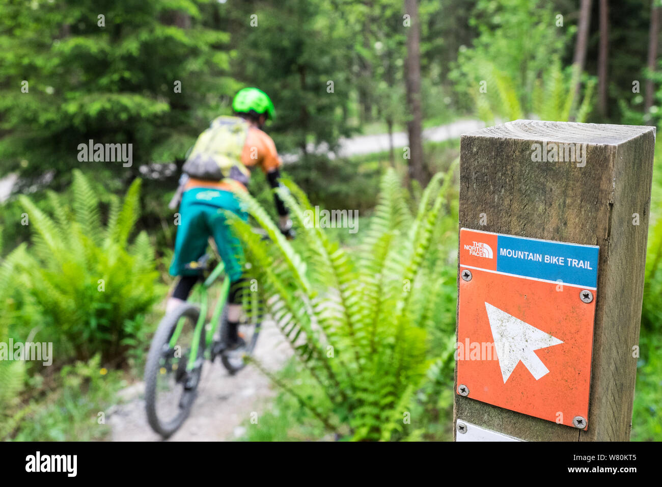 lake district bike trails