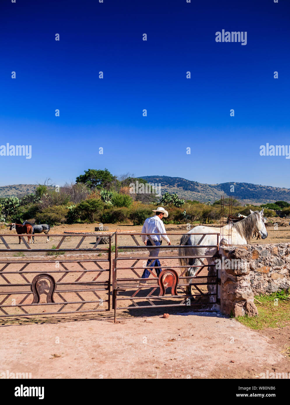 Mexican cowboys hi-res stock photography and images - Alamy