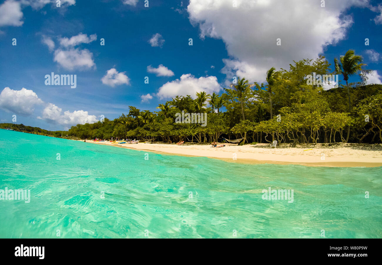 US Virgin Islands, USA – 2019. Tourists on honeymoon Beach in St John - US Virgin Islands. Stock Photo