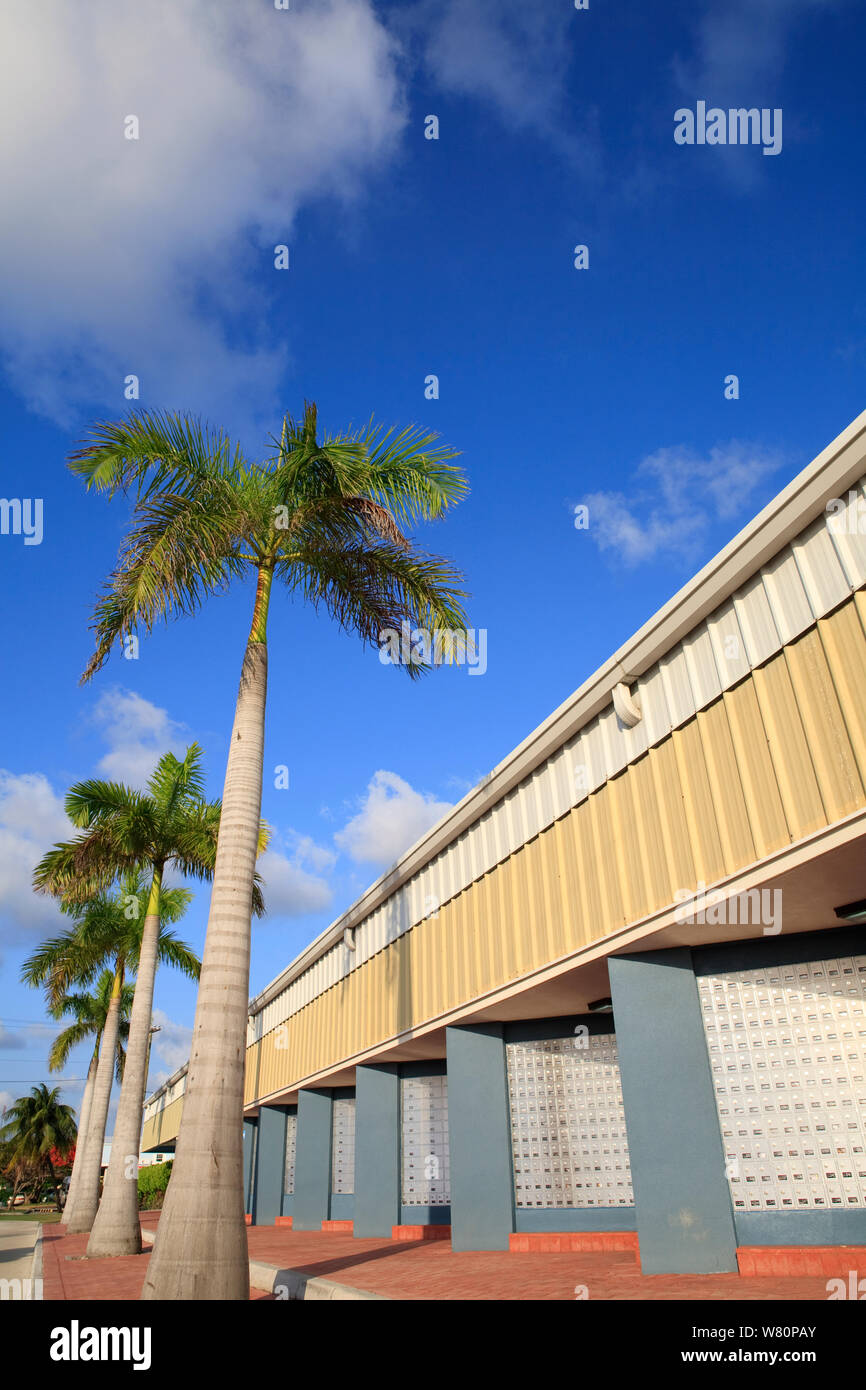 rows of metal lockers or postal boxes with palm trees Stock Photo