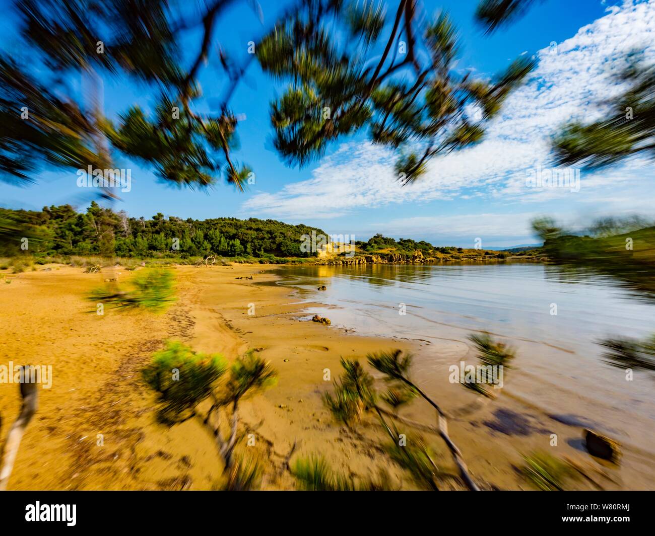 Sandy beach vacated vacant countryside speeding blurry through tree pine branches branch Stock Photo