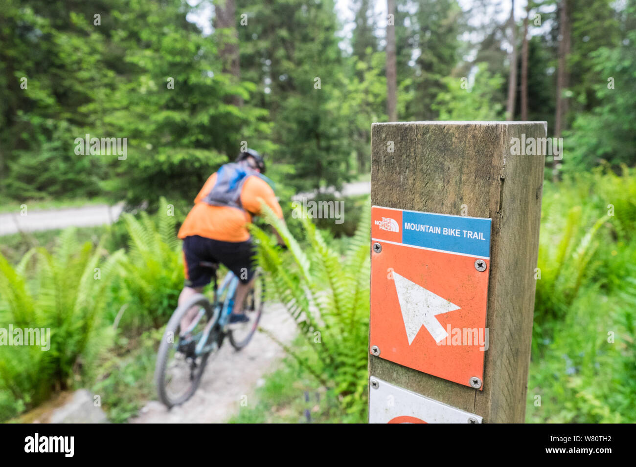 mountain bike trails lake district