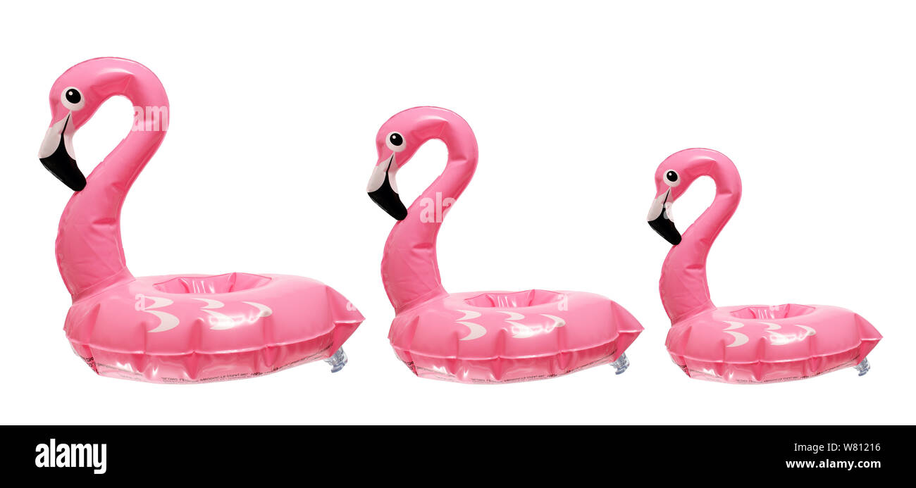 Flamingo Bath Toys on White Background Stock Photo