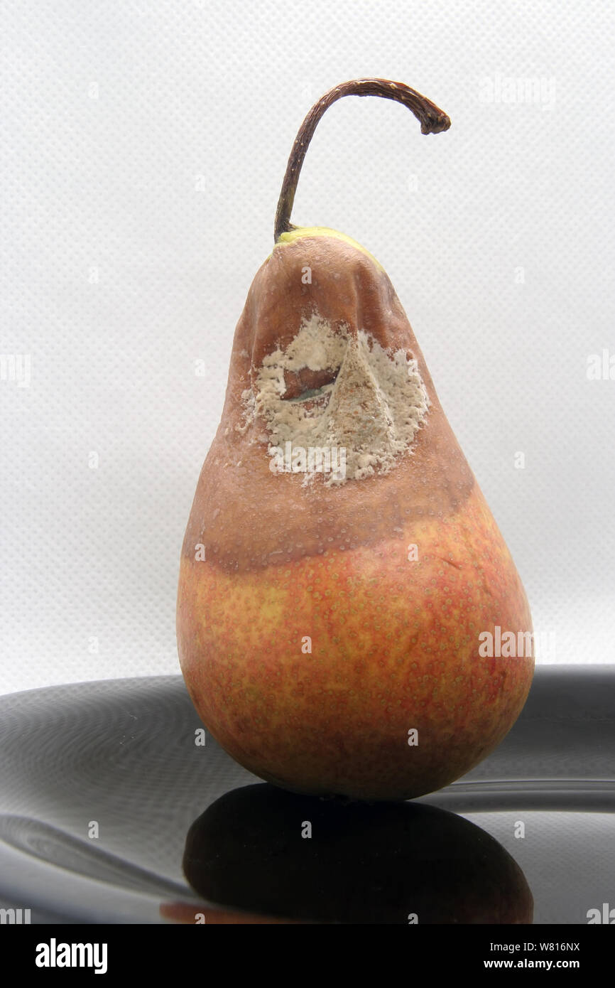 Rot molded hires stock photography and images Alamy